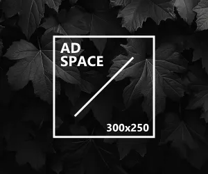 adspace 300x250 1